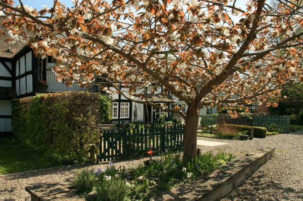 Peel Cottage, Holiday home *